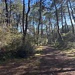 בית הארחה La Tranquillite