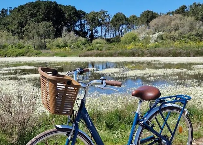 Maison d'hôtes La Tranquillité