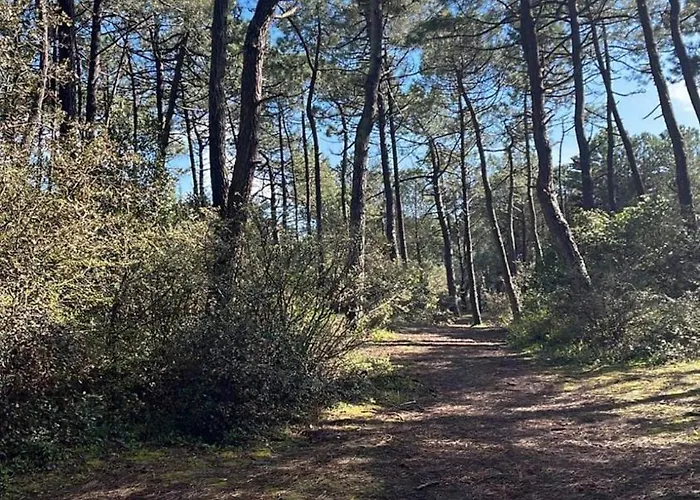 Maison d'hôtes La Tranquillité